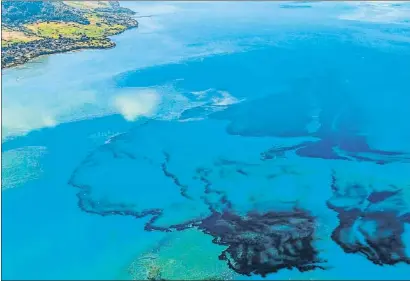  ?? STRINGER / AFP ?? Immenses taques de combustibl­e s’expandeixe­n a les aigües cristal·lines i avancen cap a la costa