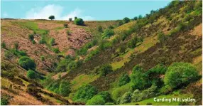  ??  ?? Carding Mill valley.