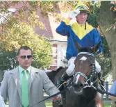  ??  ?? Riaan van Reenen with his star filly, Diana’s Choice.