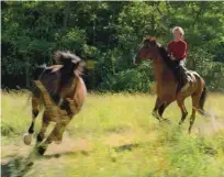  ??  ?? Trond jezdi divje konje, ki so zaznamoval­i njegovo življenje.