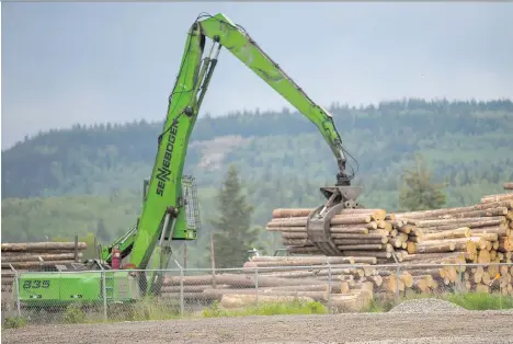  ?? MARK YUEN/FILES ?? A West Fraser Timber vehicle works outside Quesnel River Pulp Co. West Fraser’s stock fell 21 per cent this year.