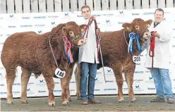  ??  ?? Limousin continenta­l senior champion and reserve female champion from Garry Patterson, Aultmore, Keith.