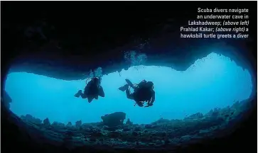  ??  ?? Prahlad Kakar; (above right) a hawksbill turtle greets a diver