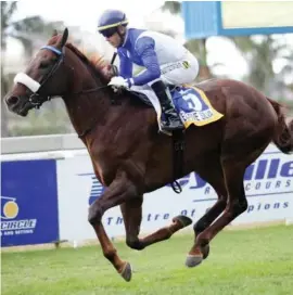  ??  ?? HIGHLY REGARDED. Elusive Silva has a massive reputation and looks the horse they will have to beat in tonight’s Betting World Greyville 1900 in Durban.