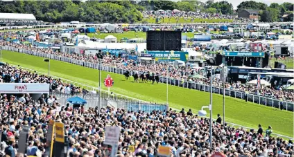  ??  ?? Unique: Epsom’s idiosyncra­tic racecourse has become the perfect testing ground for the Classic horse