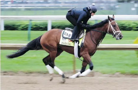  ?? JAMIE SQUIRE/GETTY IMAGES ?? Patch will be the fourth one-eyed thoroughbr­ed to run in the Kentucky Derby, the 143rd edition of which goes Saturday.