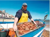  ??  ?? A fisherman displays his morning catch of Cromer crabs, which are prized in restaurant­s all over the UK.