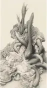  ??  ?? Gray Foy, Untitled [Fungi and Sprouting Botanical Forms] (detail), ca. 1970