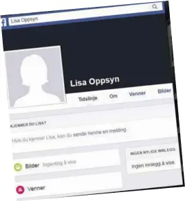  ?? SKJERMDUMP ?? UDI har operert med falske profiler for å sjekke personer mistenkt for juks. Lisa Oppsyn ble en av disse profilene kalt.