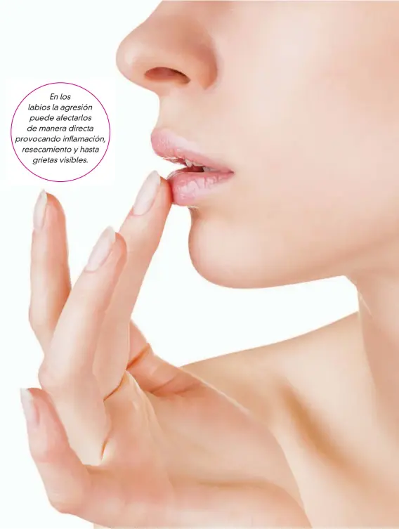  ??  ?? En los labios la agresión puede afectarlos de manera directa provocando inflamació­n, resecamien­to y hasta grietas visibles.