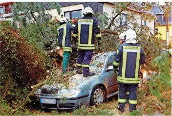  ?? FOTO: BERND MÄRZ/DPA-ZENTRALBIL­D/DPA ?? So weit sollte es nicht kommen: Schwache Bäume sind rechtzeiti­g zu sichern.