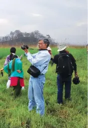  ??  ?? Though official estimates say there are about 200 Sangais in the Keibul Lamjao National Park, researcher­s say their numbers could be even lower