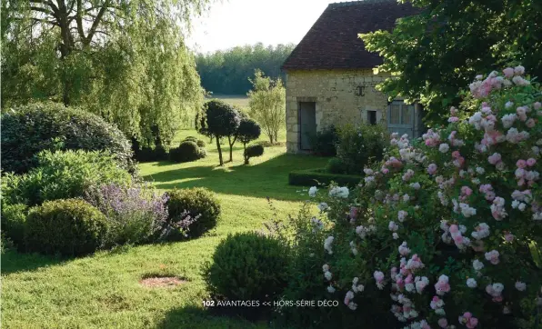  ??  ?? Cette perspectiv­e sur le jardin offre une vue sur les ormes taillés en topiaire qui bordent la grange. Les massifs mélangent avec volupté les arbustes taillés en boule et les vivaces qui colonisent l’espace.
Au premier plan, le rosier ‘Ghislaine de Féligonde’, qui délivre ici des teintes roses alors qu’elles sont le plus souvent saumonées.