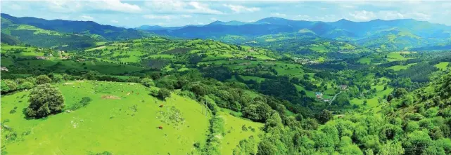  ??  ?? Vista panorámica de la comarca de Las Encartacio­nes, situada al oeste del País Vasco