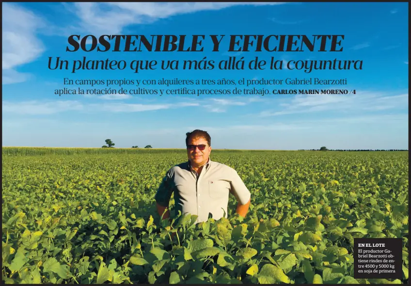  ??  ?? en el lote El productor Gabriel Bearzotti obtiene rindes de entre 4500 y 5000 kg en soja de primera