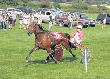  ??  ?? > Second Affair, driven by Mark Evans, winning the first Novice race at the Almeley harness race meeting