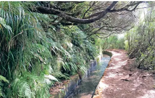  ?? FOTOS: ELFI VOMBERG ?? Die historisch­en Bewässerun­gskanäle sind auf der portugiesi­schen Blumeninse­l Madeira so etwas wie Lebensader­n für die reiche Flora der Insel.