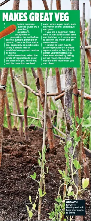 ?? ?? growth spurt: Healthy soil will help your crops to thrive