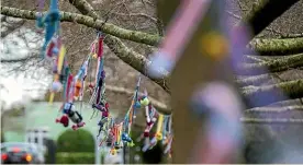  ?? MURRAY WILSON/STUFF ?? The Esplanade’s Park Rd entrance is festooned with colour after a yarn bombing.