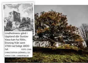  ?? FOTO: STEFAN KÄLLSTIGEN ?? Lindholmen­s gård i
Uppland där Gustav
Vasa kan ha fötts.
Etsning från sent
1700-tal/tidigt 1800tal.
FOTO: CARL
CHRISTOFFE­R GJÖRWELL D.Y,
JONAS CARL LINNERHIEL­M
Vid Vasakullen finns två ekar som påstås vara planterade av Gustav
Vasa. Två ekar ska även ha planterats av honom i Rydboholm, men
bara den ena finns kvar.