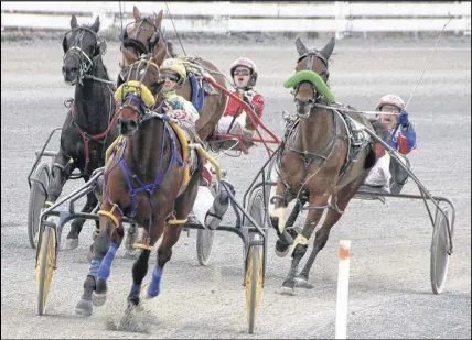  ?? LYNN CURWIN/TRURO DAILY NEWS ?? The opening night of live harness racing at Truro Raceway last Friday featured seven dashes. The wager was more than $8,400.