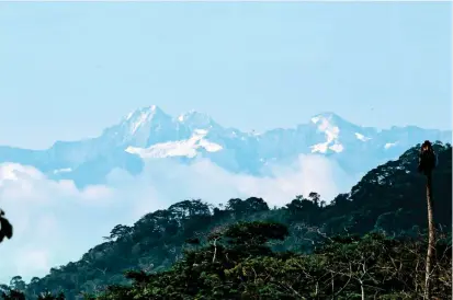  ?? FOTO COLPRENSA ?? De acuerdo con el Gobierno en la Sierra Nevada viven 70.000 indígenas de las etnias kogui, arhuaco, kankuamo y wiwa. Es la formación montañosa litoral más elevada del mundo.