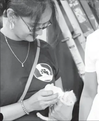  ??  ?? Donna Lam bottle feeding a kitten