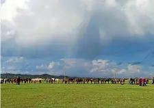  ??  ?? The Mongolian horses the racers used may have been backed before but they were still very much untamed.