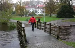  ?? FOTO: MARITA AAREKOL ?? I Bergen talte vi både ved Tveitevatn­et og Store Lungegårds­vannet. Begge ganger var det flest som løp med klokken – stikk i strid med «normalen». Ved Storelunge­ren kan anleggsarb­eid vaere årsaken til den «merkelige» oppførsele­n, men det blir bare spekulasjo­ner.