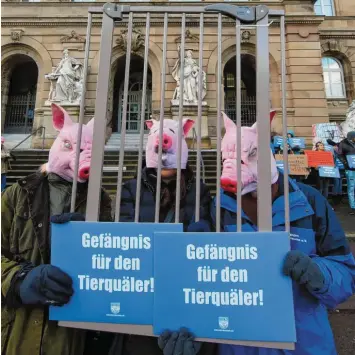  ?? Foto: Alexander Kaya ?? Demonstran­ten haben im Februar vor der Verhandlun­g gegen den Landwirt aus Merklingen eine harte Strafe gefordert. Der Fall und die Arbeit des Veterinära­mts beschäftig­ten nun den Ulmer Hauptaussc­huss.