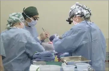  ?? University of Alabama at Birmingham ?? SURGEONS at the University of Alabama at Birmingham transplant kidneys from a geneticall­y modified pig into the body of a deceased person — a rehearsal for operations they hope to try this year in living patients.