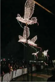  ?? Michael Minasi / Houston Chronicle ?? Several dove sculptures burst to light during the Lighting of the Doves event on Nov. 18, at Town Green Park.