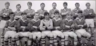  ??  ?? The Wicklow Junior team of 1969.