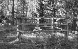  ?? Contribute­d ?? A photograph shows the grave site of the Reverend Philip Stocks, near Bear Creek North Road.