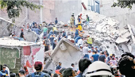  ?? JUAN CARLOS BAUTISTA ?? De este sitio los ejemplares fueron llevados a la representa­ción de Durango en la CdMx y luego a la Casa Refugio Citlaltépe­tl.