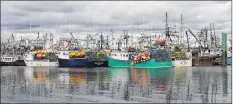  ?? AMANDA DOUCETTE ?? The lobster fleet in Digby loaded with gear prior to the Oct. 14 start of the LFA 35 season.