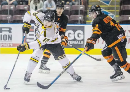  ?? DARREN STONE, TIMES COLONIST ?? Grizzlies sensation Alex Newhook evades check by Smoke Eaters’ Diarmad DiMurro Friday night at The Q Centre.