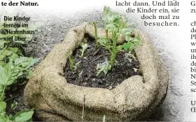  ?? ?? Die Kinder lernen im „Hexenhaus“viel über Pflanzen.