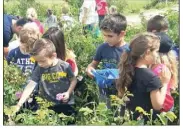  ??  ?? Les écoliers ont découvert les Jardins du MIP et ont participé avec ravissemen­t à la cueillette de la rose Centifolia.