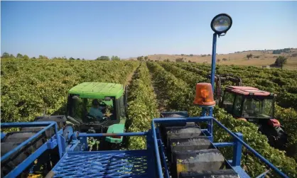  ??  ?? Businesses in Australia have been urged to incorporat­e climate risks into their outlooks so shareholde­rs can see the potential impacts. Photograph: Lukas Coch/AAP