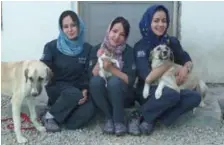  ?? NOWZAD ?? Afghan veterinari­ans Dr. Maliha, left, Dr. Tahera and Dr. Malalai work with the Nowzad animal clinic in Kabul.