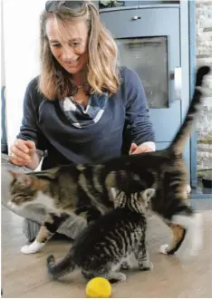  ?? Fotos: Philipp Wehrmann ?? Die 56-jährige Claudia Vogele hat ein Faible für Katzen. Auf dem Bild ist die Mutterkatz­e Roxy und eines ihrer Jungtiere zu sehen.