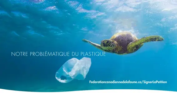  ??  ?? Si nous voulons
vraiment nous
attaquer aux effets
nuisibles du plastique
sur notre faune, nous devons regarder en amont, examiner la source de
la pollution et trouver
une solution à cet
endroit! »
Rick Bates Directeur général et vice-président...