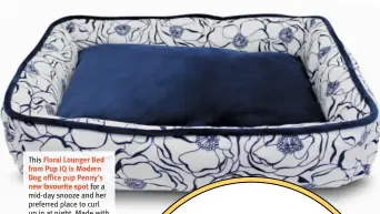  ?? ?? This Floral Lounger Bed from Pup IQ is Modern Dog office pup Penny’s new favourite spot for a mid-day snooze and her preferred place to curl up in at night. Made with durable, beautiful fabric and hand sewn with Smart Kevlar thread, this is style and comfort designed to last. From $150, pup-iq.com
