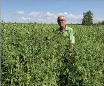  ?? ?? Andre Harpe is also chair of the Grain Growers of Canada which represents 65,000 farmers