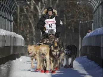  ?? MICHAEL DINNEEN/THE ASSOCIATED PRESS FILE PHOTO ?? Four of Dallas Seavey’s dogs tested positive for opioids after his second-place finish at the Iditarod in March 2017.
