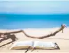  ?? UNSPLASH ?? Throughout the summer, Western Counties Regional Library is presenting photo challenges such as the Beach Read Challenge from July 25 to Aug. 7.