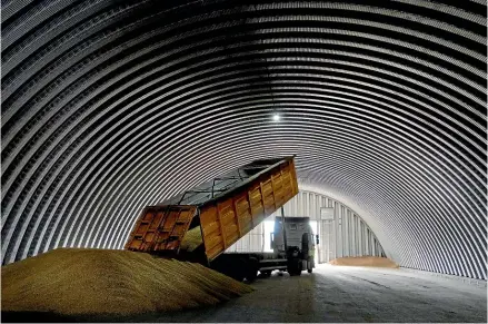  ?? AP ?? A dump ttruck unloads grain in a granary in the village of Zghurivka, Ukraine.