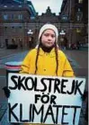  ??  ?? Greta Thunberg vor dem Parlament in Stockholm. Foto: rtr