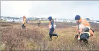  ?? SHARON MONTGOMERY-DUPE/CAPE BRETON POST ?? Greg O’Flaherty, right, trudges through a field off Hinchey Avenue in New Waterford accompanie­d by (continuing towards the left) Deion Perfect, Wayne McKay and Chris Corbett, during a search for a missing Glace Bay man on Tuesday. David Gerard Simmons, 64, was last seen on Nov. 15 at the New Waterford Consolidat­ed Hospital emergency room and then on Plummer Avenue walking in the direction of Hinchey Avenue towards the ocean.